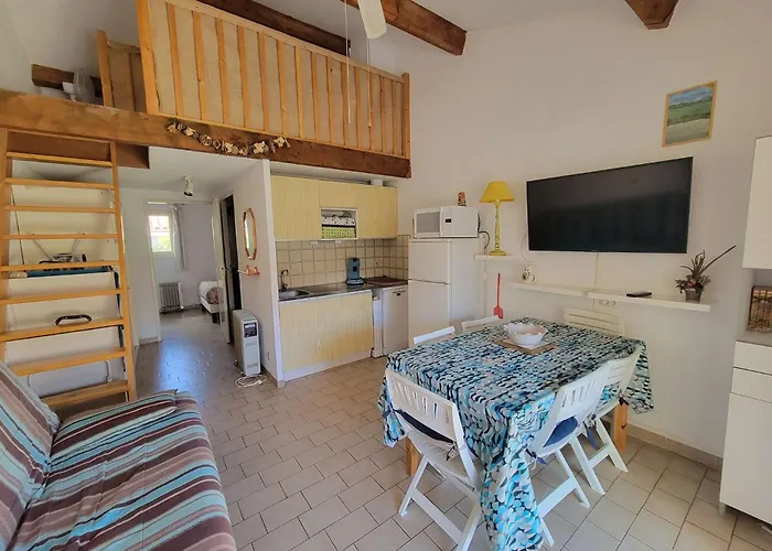 Maison De Vacances, Sejour Cuisine, Mas De La 1, Terrasse Sud Degagee 4 Couchages Lrmp77 Villa *